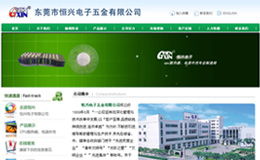 东莞专业网站设计与建设 耐特网络公司运营管理解析