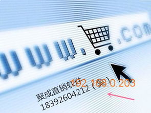 聚成网络热门直销系统软件开发与海南市场供应分析